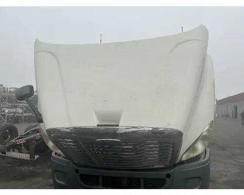 FREIGHTLINER Cascadia 113 Hood