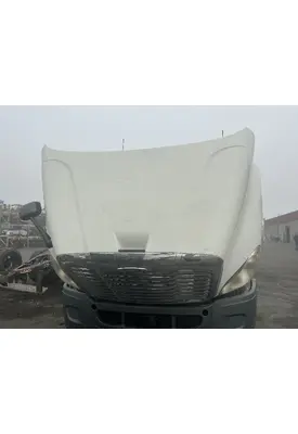FREIGHTLINER Cascadia 113 Hood