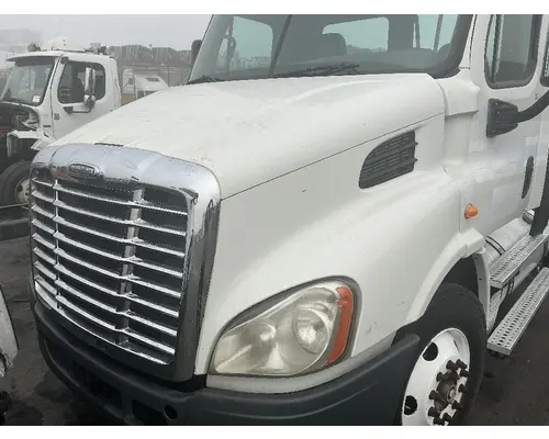 FREIGHTLINER Cascadia 113 Hood