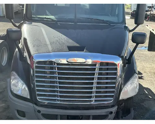 FREIGHTLINER Cascadia 113 Hood