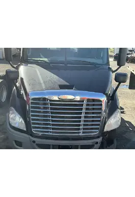 FREIGHTLINER Cascadia 113 Hood