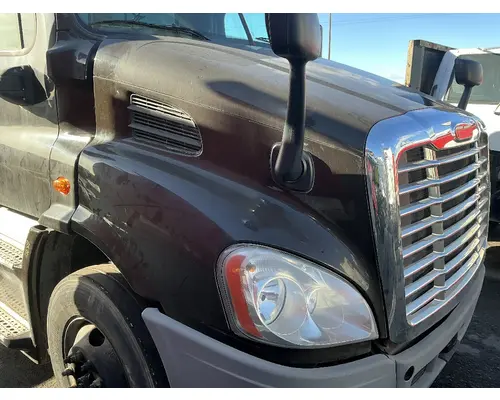 FREIGHTLINER Cascadia 113 Hood