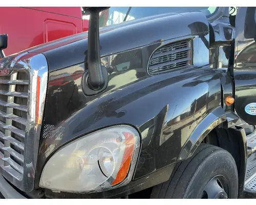 FREIGHTLINER Cascadia 113 Hood