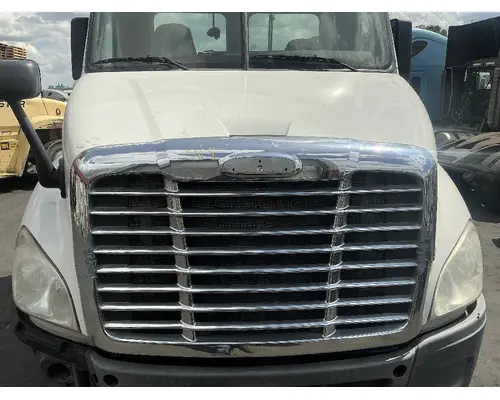 FREIGHTLINER Cascadia 113 Hood