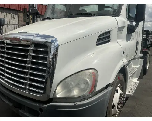 FREIGHTLINER Cascadia 113 Hood
