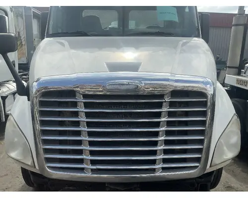 FREIGHTLINER Cascadia 113 Hood