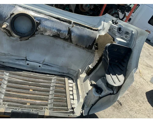 FREIGHTLINER Cascadia 113 Hood