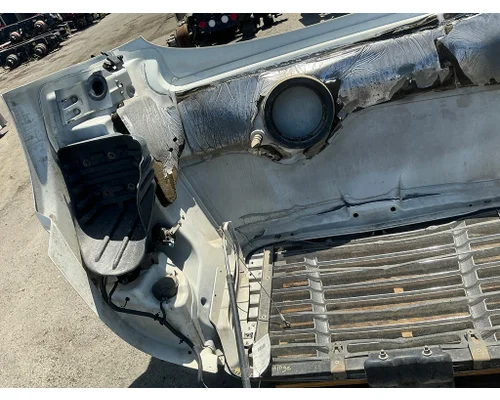 FREIGHTLINER Cascadia 113 Hood