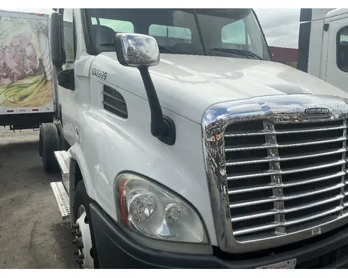 FREIGHTLINER Cascadia 113 Hood