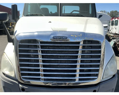 FREIGHTLINER Cascadia 113 Hood