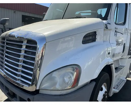 FREIGHTLINER Cascadia 113 Hood