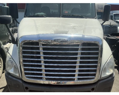 FREIGHTLINER Cascadia 113 Hood
