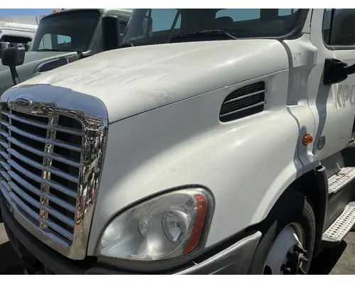 FREIGHTLINER Cascadia 113 Hood