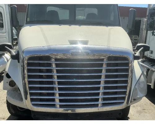 FREIGHTLINER Cascadia 113 Hood