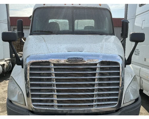 FREIGHTLINER Cascadia 113 Hood