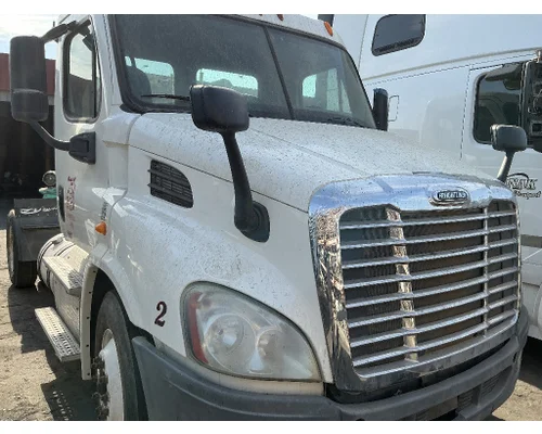 FREIGHTLINER Cascadia 113 Hood