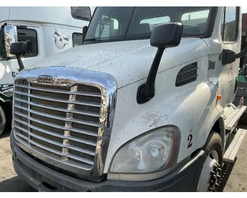 FREIGHTLINER Cascadia 113 Hood