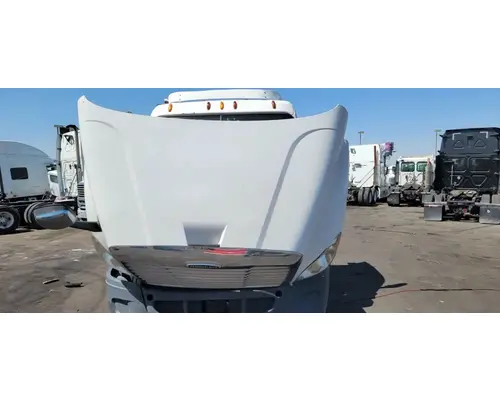 FREIGHTLINER Cascadia 113 Hood