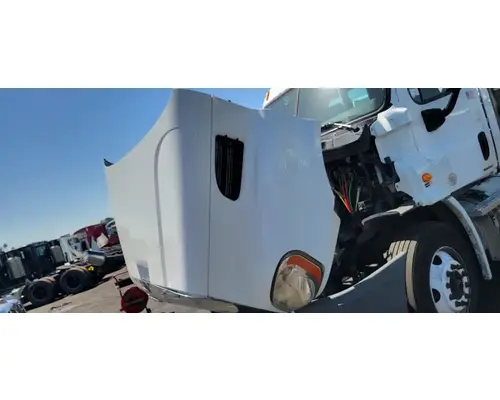 FREIGHTLINER Cascadia 113 Hood