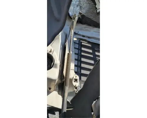 FREIGHTLINER Cascadia 113 Hood