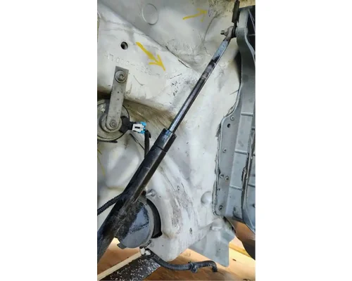 FREIGHTLINER Cascadia 113 Hood