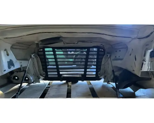 FREIGHTLINER Cascadia 113 Hood