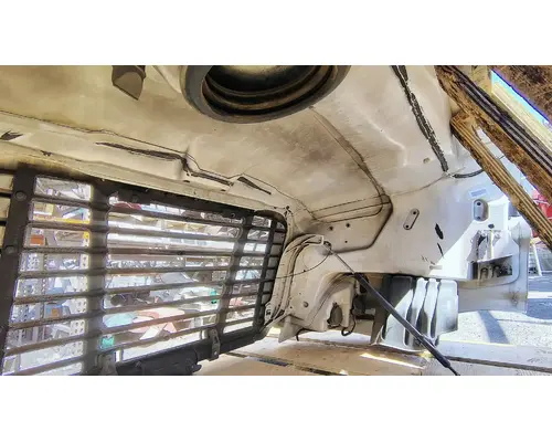 FREIGHTLINER Cascadia 113 Hood