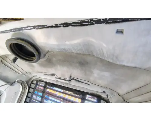 FREIGHTLINER Cascadia 113 Hood