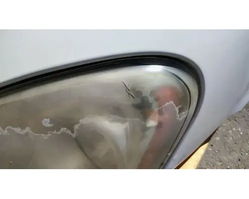 FREIGHTLINER Cascadia 113 Hood