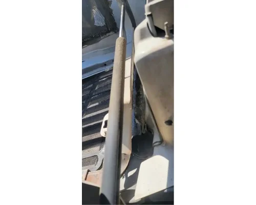 FREIGHTLINER Cascadia 113 Hood