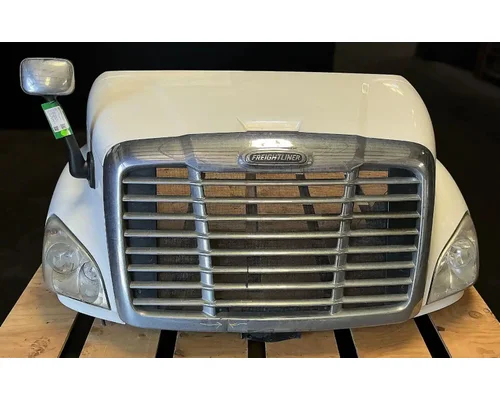 FREIGHTLINER Cascadia 113 Hood