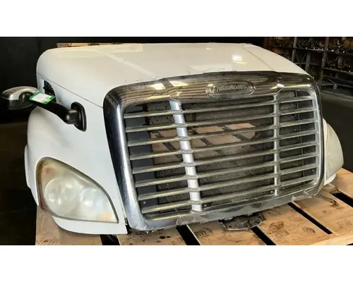 FREIGHTLINER Cascadia 113 Hood