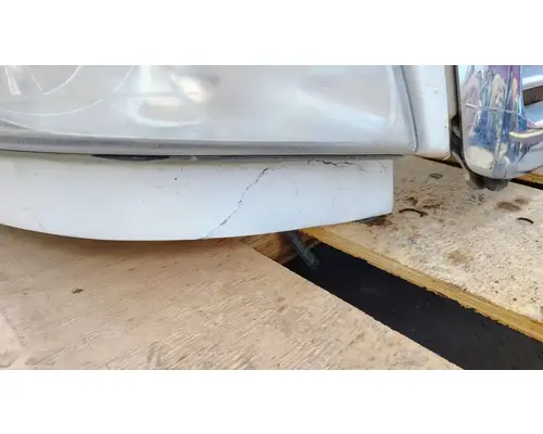 FREIGHTLINER Cascadia 113 Hood