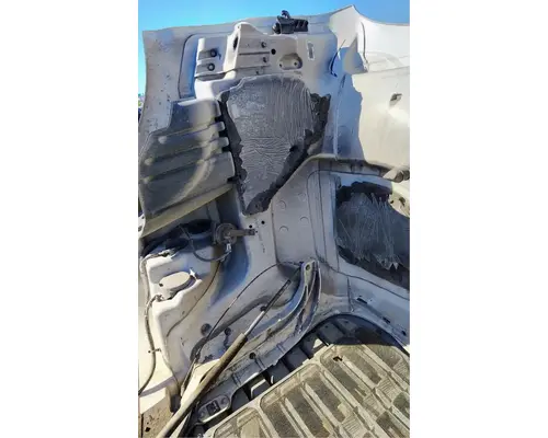FREIGHTLINER Cascadia 113 Hood