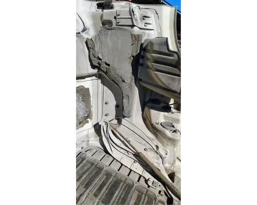 FREIGHTLINER Cascadia 113 Hood
