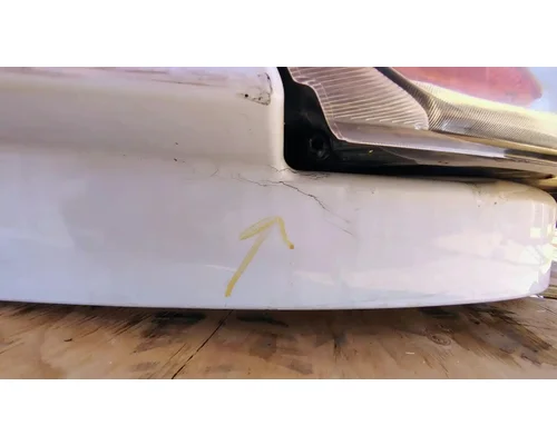 FREIGHTLINER Cascadia 113 Hood