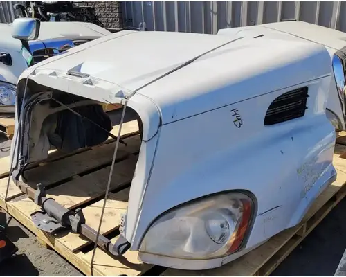 FREIGHTLINER Cascadia 113 Hood