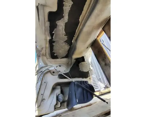 FREIGHTLINER Cascadia 113 Hood
