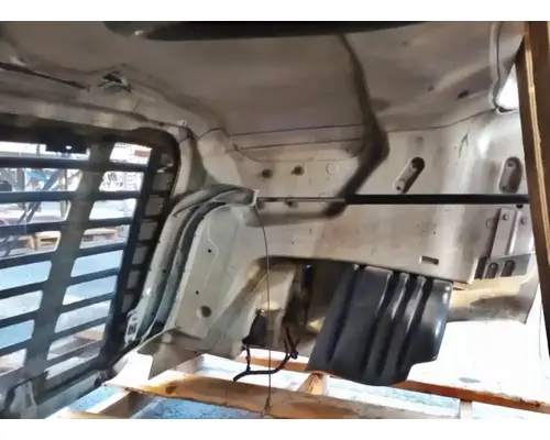 FREIGHTLINER Cascadia 113 Hood