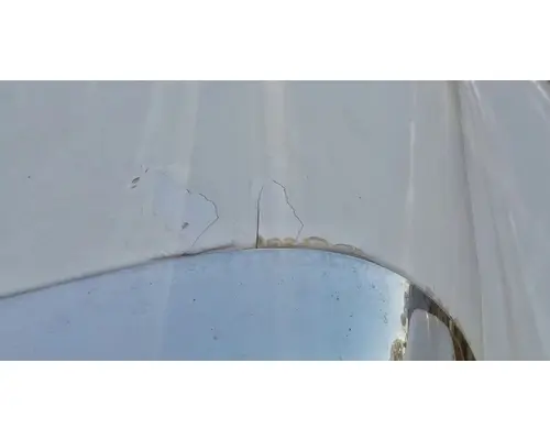 FREIGHTLINER Cascadia 113 Hood