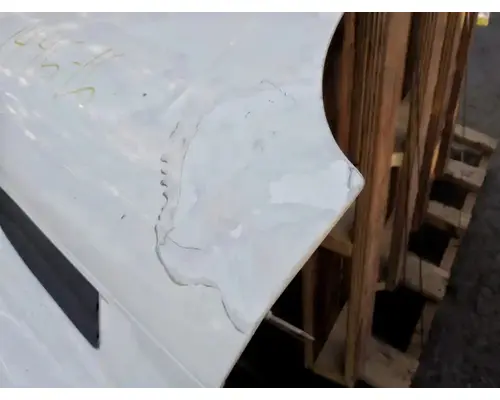 FREIGHTLINER Cascadia 113 Hood