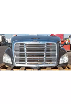 FREIGHTLINER Cascadia 113 Hood