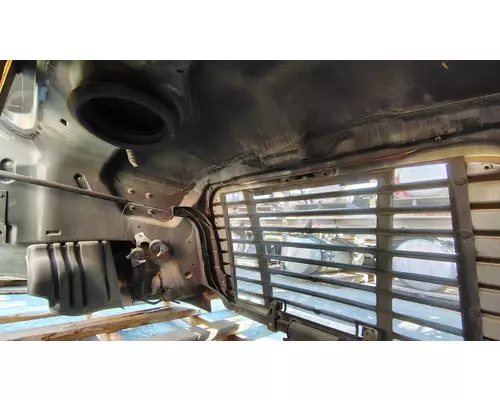 FREIGHTLINER Cascadia 113 Hood