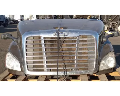 FREIGHTLINER Cascadia 113 Hood