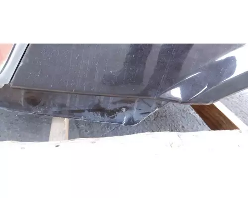 FREIGHTLINER Cascadia 113 Hood