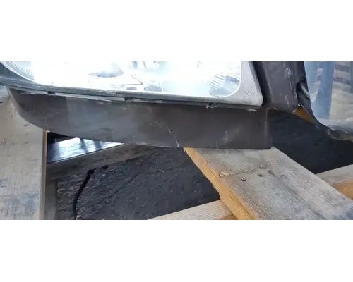 FREIGHTLINER Cascadia 113 Hood