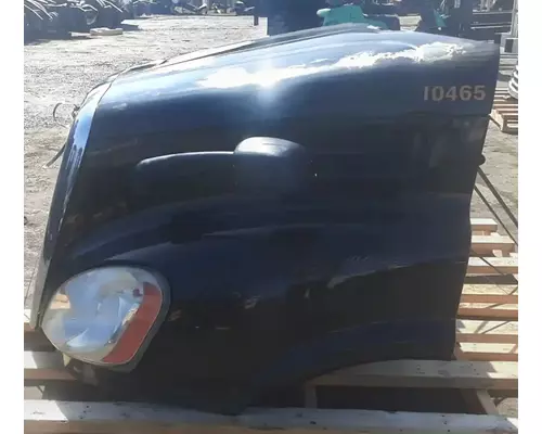 FREIGHTLINER Cascadia 113 Hood