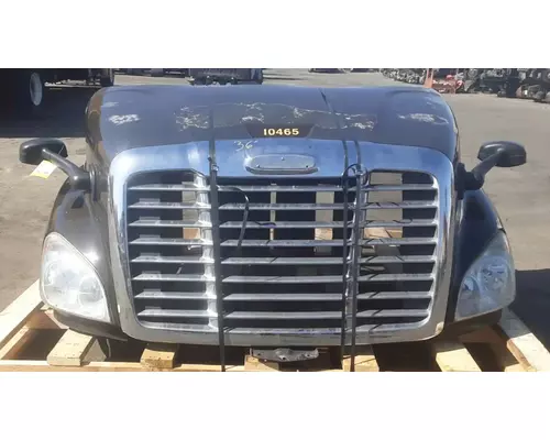 FREIGHTLINER Cascadia 113 Hood