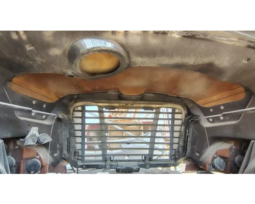 FREIGHTLINER Cascadia 113 Hood