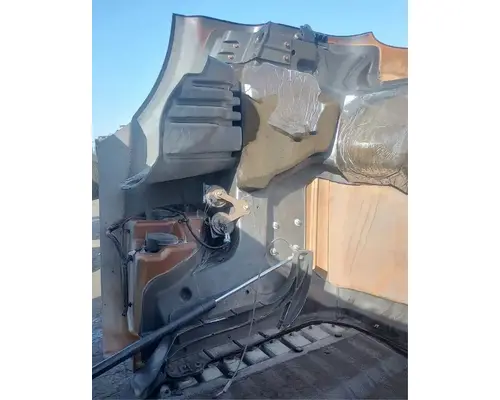 FREIGHTLINER Cascadia 113 Hood